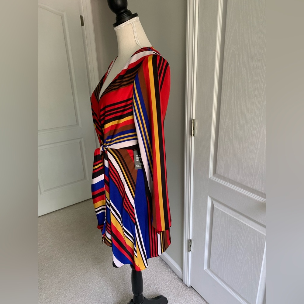 Express Dress - Picture 2 of 4